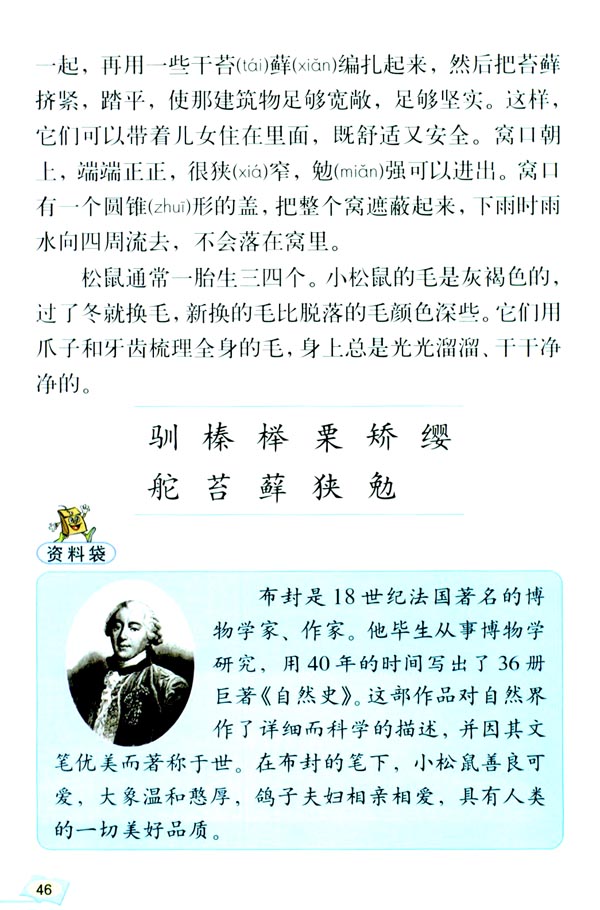 《松鼠》电子教材