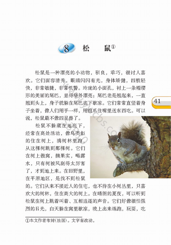 《松鼠》电子教材