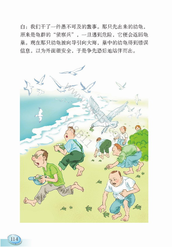 《自然之道》电子教材
