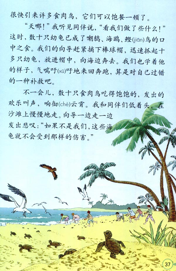 《自然之道》电子教材