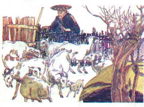 《亡羊补牢》课文图片