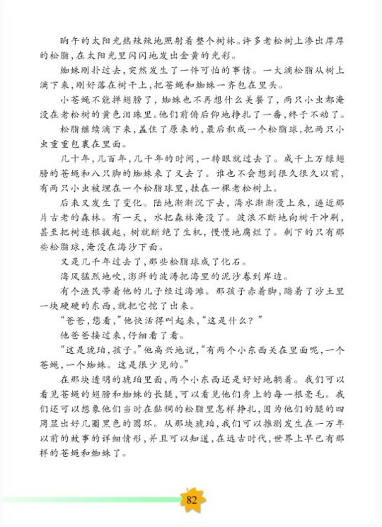 《琥珀》电子教材
