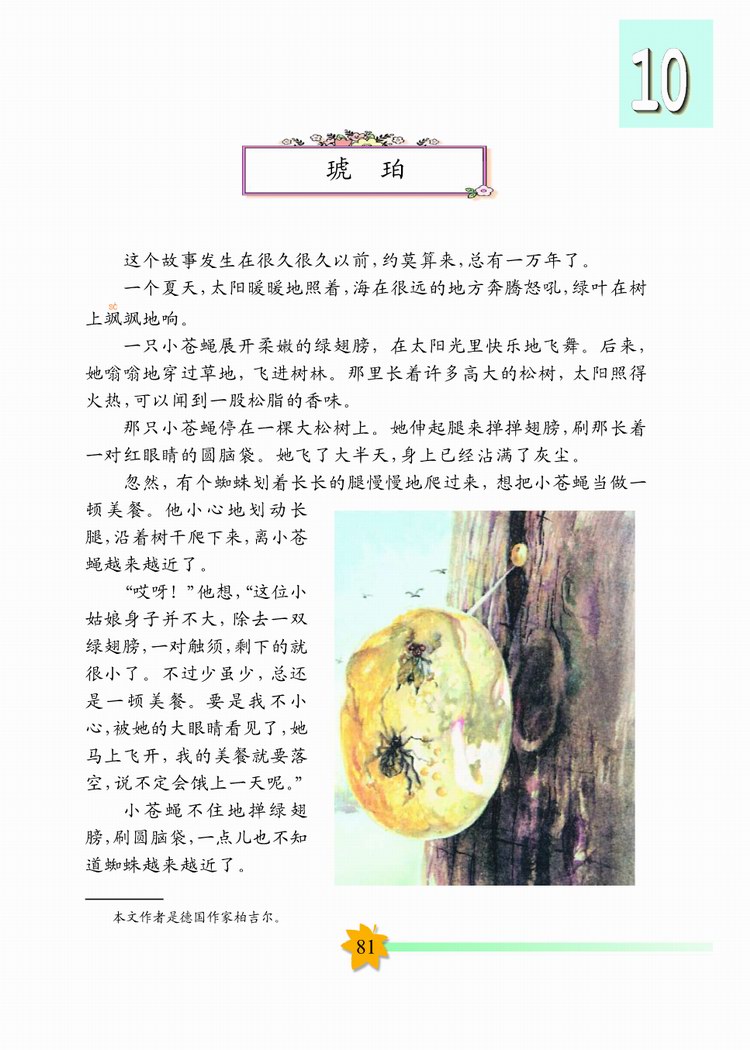 《琥珀》电子教材