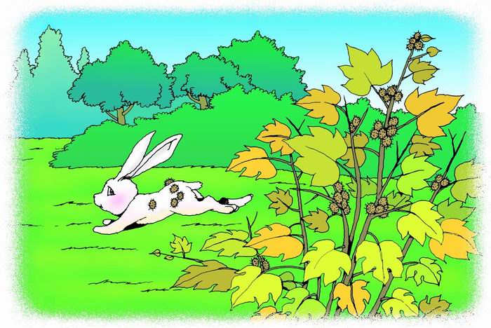 《植物妈妈有办法》小学语文-人教版小学二年级语文课本