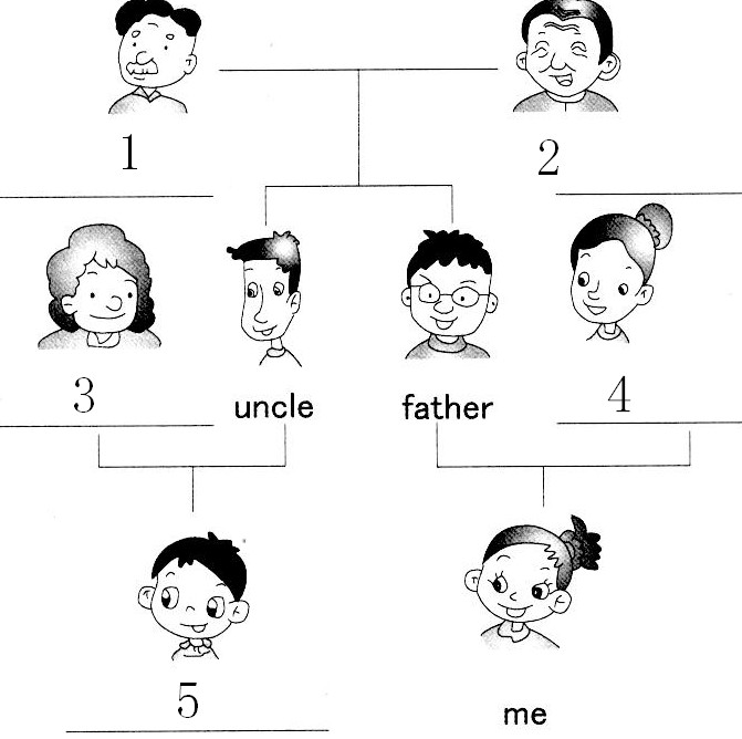 看家谱,写单词.1 ______________ 2 ______________ 3.